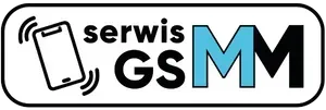 GSMM